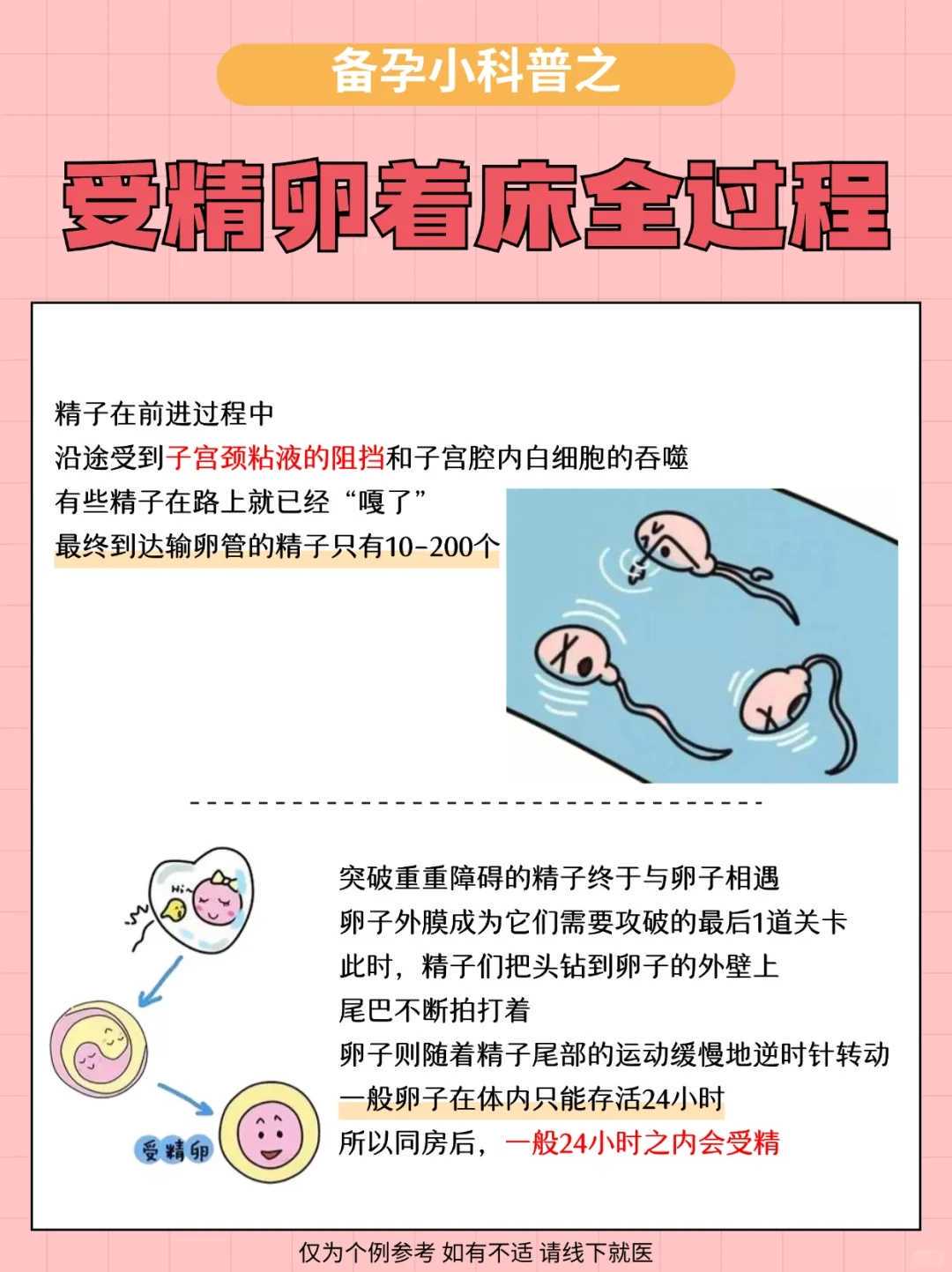 石家庄供卵生子保险购买攻略（附推荐产品）