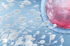 2025年在沈阳做三代试管婴